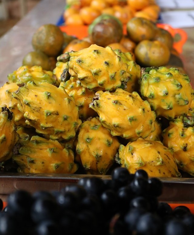 A colourful selection of tropical fruits at the festival